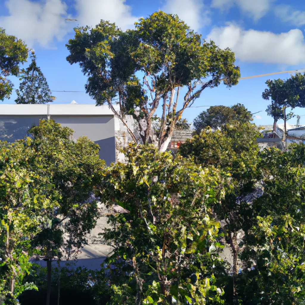 tree-trimming Tree trimming Sunbury Victoria
